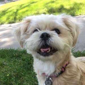 Meet your Posher, Elizabeth